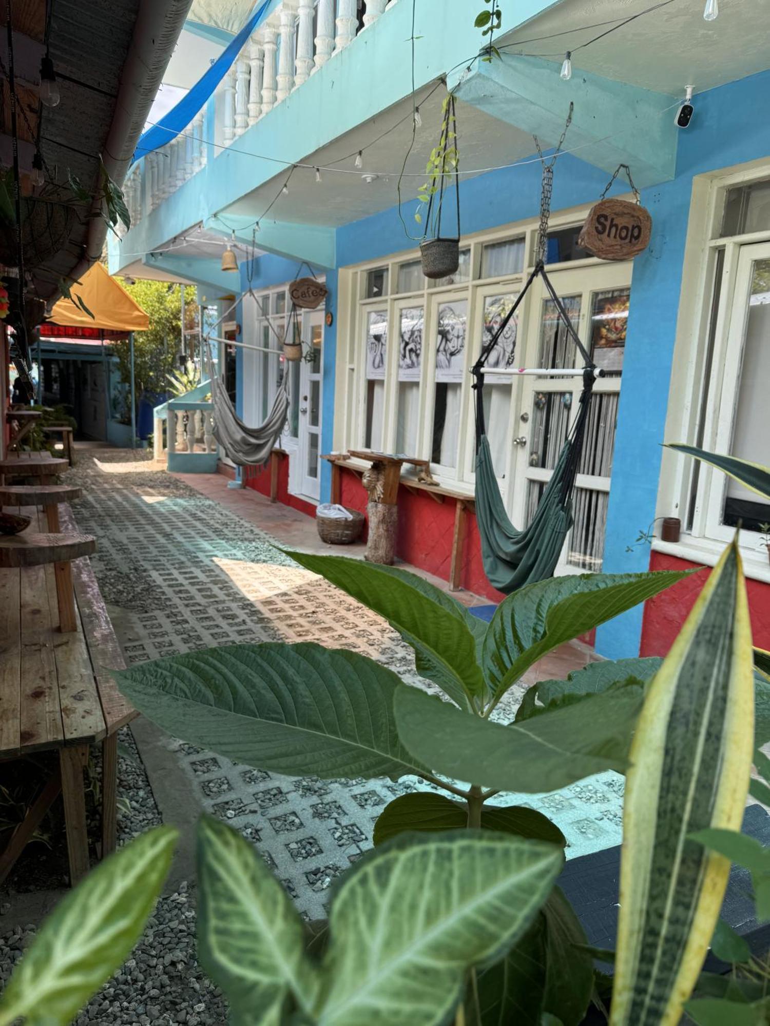 Hostel Wing Camp Cabarete Exteriér fotografie